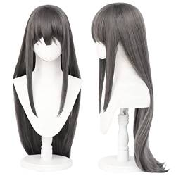 RONGYEDE Wig Anime Cosplay Anime-Perücke Rascal träumt nicht von Bunny Girl Senpai Cosplay Sakurajima Mai Perücke lange graue Perücke Kostüm-Halloween-Perücke for Halloween von RONGYEDE