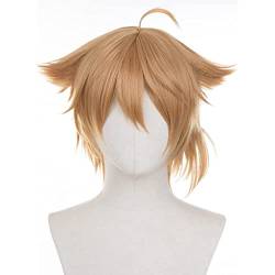 RONGYEDE-Wig Anime Cosplay Anime-Perücke for Vtuber Fushimi Gaku Cosplay-Perücke braune Kurze Perücke Kostüm-Halloween-Perücke for Halloween Kostümparty Anime-Show Cosplay-Event Konzerte von RONGYEDE