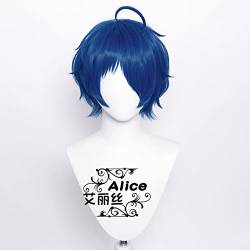 RONGYEDE-Wig Anime Cosplay Elisi Egg Word Big Household Love COS Fake Ink Blue Anti-Warping von RONGYEDE