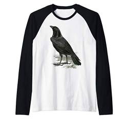 Rabe Vintage Illustration Krähe Raglan von Rabe