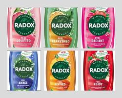 Radox Shower Gel Bundle For Everyday Use | 1x250ml Uplifting | 1x250ml Feel Ready | 1x250ml Revive | 1x250ml Feel Detox von Radox