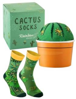 Rainbow Socks - Cactus Box Socks - Ein Kaktus in Einem Blumentopf – Damen Herren Grüne Kaktussocken – ein Lustiges Geschenk für Kaktus Sukkulente und Pflanzenfans - 1 Paar - Größen 47-50 von Rainbow Socks