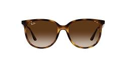 Ray-Ban Brille für Herren, Havana/Brown Shaded, 54 von Ray-Ban