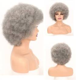 Kurze flauschige Afro-Perücken für schwarze Frauen Kinky Curly Grey Puff Synthetische Haar perücken Hitze beständige Perücken Weiche Hüpfende Locken Haar perücken für Cosplay Kostüm und Daily Party von Rcrllya