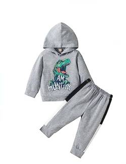 Refein kinder Baby Junge Bekleidung Dinosaurier Langarm Kapuzenpullover Top Cuff Hosen jogginganzug Kleinkind Outfit Set von Refein