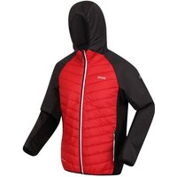 Regatta Funktionsjacke Andreson VIII Hybrid Softshelljacke Steppjacke für Herren von Regatta