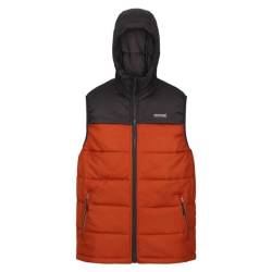 Regatta Nevado Herren Weste mit Kapuze, warm, für den Winter, Esche gebranntes Kupfer, XL von Regatta