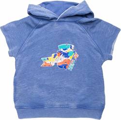 Replay Jungen Hoodie aus Baumwollmix, Royal 689 (Blau), 6 Jahre von Replay