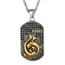 Richsteel Herren Kettenanhänger Sternzeichen Fische Halskette Dog Tag Kette mit Schmuckbox für Model von Richsteel