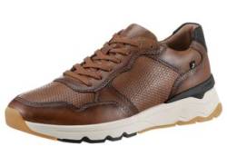Sneaker RIEKER EVOLUTION Gr. 43, braun (braun, schwarz) Herren Schuhe Schnürhalbschuhe von Rieker