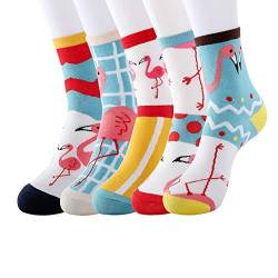 Rokmym Damen Socken Baumwolle 5 Paar Süße Lustige Bunte Socken Damen Thermal Socken Atmungsaktiv We (Donuts) von Rokmym
