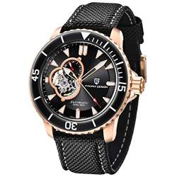 Pagani Design Herren Uhren Automatische mechanische Armbanduhr für Männer C3/BGW9 Luxus Wasserdicht Edelstahl Nylon Leder Armband von RollsTimi