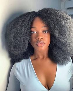 Premium Afro Perücken Natürliche Locken 22 Inch Perücken für schwarze Frauen voll und natürlich aussehend 180% Dichte(Natürliches Schwarz #1B) von Romface