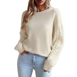 Rumity Damen Pullover Sweatshirt Langarmshirt Crewneck Einfarbig Oberteile Winter Pullover Damen Oversize Damen Oberteile Herbst von Rumity