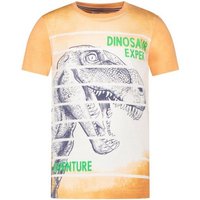 SALT AND PEPPER T-Shirt Salt and Pepper® Jungen T-Shirt Dinosaurier T-REX von SALT AND PEPPER