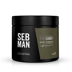 Seb Man The Dandy - Pomade mit leichtem Halt - Für ein glänzendes, glattes Finish - Für alle Haartypen - 1 x 75ml von SEB MAN