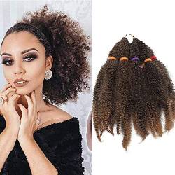 SEGO 11" Afro Cochet Braids Kinky Curly Hair Bulk Extensions Marlybob Häkelzöpfe verworrenes lockiges Haar Schwarz & Lila Naturschwarz & Honigblond-1 von SEGO