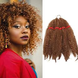 SEGO Afro Cochet Braids Kinky Curly Hair Bulk Extensions Marlybob Häkelzöpfe verworrenes lockiges Haar Hellbraun von SEGO