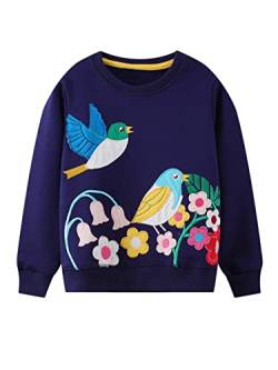 SERENYOU Mädchen Sweatshirt Kinder Baumwolle Pullover Cartoon Langarm Top Rundhalsausschnitt Jumper 98 Vogel von SERENYOU