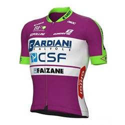 SGCIKER 2022 Herren World Tour Team Bardiani Radtrikot, kurzärmliges atmungsaktives Radtrikot MTB-Fahrrad Bekleidungs Hemd (3XL) von SGCIKER