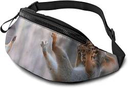 Squirrel Pets Cute Fanny Pack Waist Bags for Women & Men, Casual Belt Bag Crossbody Bum Bag with Adjustable Strap for Outdoors Running Hiking, siehe abbildung, Einheitsgröße, Hüfttasche von SJOAOAA