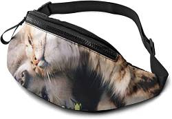 Tiere Katze Bilder Nette Hüfttasche mit verstellbarem Gurt Hüfte Bauchtasche für Mann Frauen Outdoor Sport Laufen Gym Reisen, siehe abbildung, Einheitsgröße, Hüfttasche von SJOAOAA
