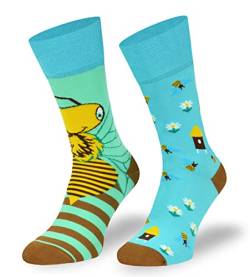 Autosiatki Bunte Interessante Socken - Lustige Seltsame Socken - Verrückte Ausgefallene Socken - Skurrile Socken für Erwachsene - Baumwolle - für Frauen Männer - Biene, Honig - 43-46 von SKIETY