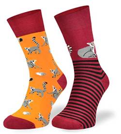 Autosiatki Bunte Interessante Socken - Lustige Seltsame Socken - Verrückte Ausgefallene Socken - Skurrile Socken für Erwachsene - Baumwolle - für Frauen Männer - Lemuren - 39-42 von SKIETY