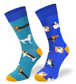 SKIETY Bunte Interessante Socken - Lustige Seltsame Socken - Verrückte Ausgefallene Socken - Skurrile Socken für Erwachsene - Baumwolle - für Frauen Männer - Hund, Schüler - 39-42 von SKIETY