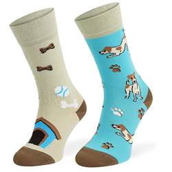 SKIETY Bunte Interessante Socken - Lustige Seltsame Socken - Verrückte Ausgefallene Socken - Skurrile Socken für Erwachsene - Baumwolle - für Frauen Männer - Jack Russel Hund - 39-42 von SKIETY