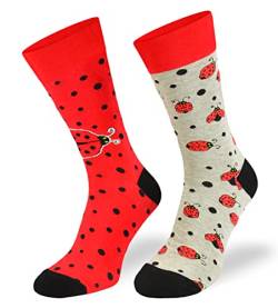 SKIETY Bunte Interessante Socken - Lustige Seltsame Socken - Verrückte Ausgefallene Socken - Skurrile Socken für Erwachsene - Baumwolle - für Frauen Männer - Marienkäfer - 39-42 von SKIETY