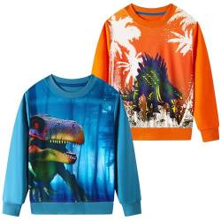 SOIBEEN Jungen Sweatshirt Entzückende Kinder Pullover 2-Pack Dinosaurier 3D Top Shirt Rundhals Langarm Casual Kleidung Hoddie 4-5 Jahre von SOIBEEN