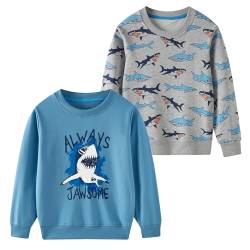 SOIBEEN Jungen Sweatshirt Entzückende Kinder Pullover 2-Pack Dinosaurier Haie Top Shirt Pullover Rundhalsausschnitt Langarm Freizeitkleidung Frühling Herbst Baumwolle Hoddie 7-8 Jahre von SOIBEEN