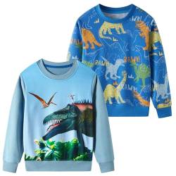 SOIBEEN Jungen Sweatshirt Entzückende Kinder Pullover 2-Pack Dinosaurier Top Shirt Pullover Rundhalsausschnitt Langarm Freizeitkleidung Frühling Herbst Baumwolle Hoddie 9-10 Jahre von SOIBEEN