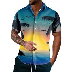 SOOUICKER Hawaii Hemd Männer Regular Fit Freizeithemden für Herren Bunt Hemd Herren Sommer Hawaii Kurzarmhemd Herren Muster Sommerhemd Herren Kurzarm Hemd Herren Print Urlaub von SOOUICKER