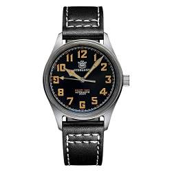 Steeldive NH35 Herren-Armbanduhr, 39 mm, Retro-Edelstahl, Saphirglas, automatische mechanische Armbanduhr, Farbe 2 von SOTAG