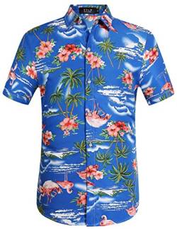 SSLR Hawaii Hemd Männer, Flamingo Hawaii Hemd, Hawaiihemd Herren Kurzarm Floral Gedruckt Regulär fit (3X-Large, Edelsteinblau) von SSLR
