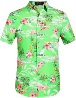 SSLR Hawaii Hemd Männer, Flamingo Hawaii Hemd, Hawaiihemd Herren Kurzarm Floral Gedruckt Regulär fit (Small, Hellgrün) von SSLR