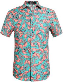 SSLR Hawaii Hemd Männer, Kurzarm Herren Hawaii Shirts Button Down für Urlaub, Reisen & Zuhause Regular Fit (X-Large, Grün) von SSLR