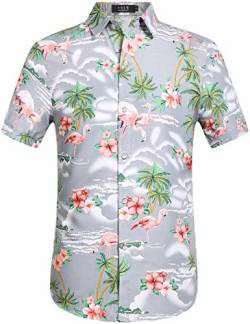 SSLR Herren Hemd Hawaiihemd 3D Gedruckt Flamingos Kurzarm Aloha Freizeit Hemd Button Down Shirt für Strand Reise (XX-Large, Hellgrau) von SSLR