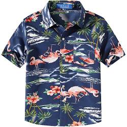 SSLR Jungen Hawaii Hemd Flamingos Gedruckt Aloha Shirt Kurzarm Kinder Hawaiihemd (X-Large (13-16Jahren), Dunkelblau) von SSLR
