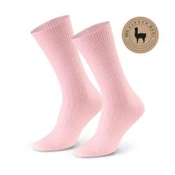 Socken 50% Alpaka Wolle für Damen und Herren - Hypoallergen Thermoisolierend Nahtlos, mit Sanftem Bund Bequem und Angenehm im Griff, 35-37, Farbe Hellrosa von STEVEN