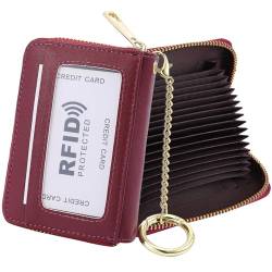 RFID Blocking Credit Card Holder, 20 Card Slots Large Capacity Accordion Card Wallet, Leather Card Case with Removable Keychain and ID Window, Kb08-pw-pl, Einheitsgröße, Klassisch von SUNDEE
