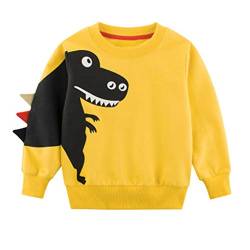 SUPFANS Jungen Süße Dinosaurier Sweatshirts Pullover Pullover Baumwolle T-Rex Langarm Tops Kleinkind T-Shirt Gr. 3 Jahre, 01 gelb von SUPFANS