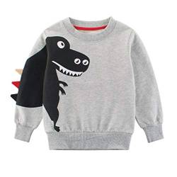 SUPFANS Jungen Süße Dinosaurier Sweatshirts Pullover Pullover Baumwolle T-Rex Langarm Tops Kleinkind T-Shirt Gr. 3 Jahre, 01 grau von SUPFANS