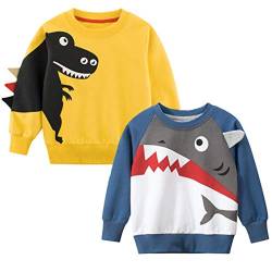 SUPFANS Jungen Süße Dinosaurier Sweatshirts Pullover Pullover Baumwolle T-Rex Langarm Tops Kleinkind T-Shirt Gr. 3 Jahre, Set#a von SUPFANS