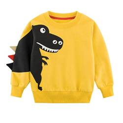 SUPFANS Jungen Süße Dinosaurier Sweatshirts Pullover Pullover Baumwolle T-Rex Langarm Tops Kleinkind T-Shirt Gr. 4 Jahre, 01 gelb von SUPFANS