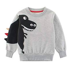 SUPFANS Jungen Süße Dinosaurier Sweatshirts Pullover Pullover Baumwolle T-Rex Langarm Tops Kleinkind T-Shirt Gr. 4 Jahre, 01 grau von SUPFANS