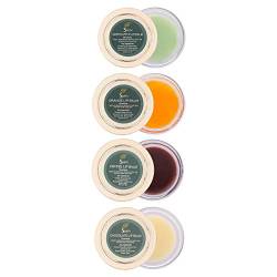 SVATV - Allzweck-Kräutersalben-Lippenbalsam 15g x 4 :: Hergestellt in Indien (Kaffee, grüner Apfel, Orange, Schokolade) von SVATV