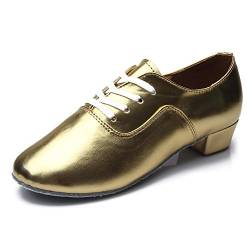 SWDZM Herren Tanzschuhe Standard und Latein Salsa Tango Modern Jazz Ballsaal Mit Niedriger 2.5cm,702,Gold,Wildleder,44 EU von SWDZM